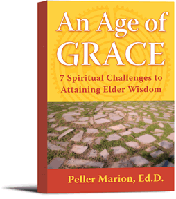 An Age of Grace Book Cover